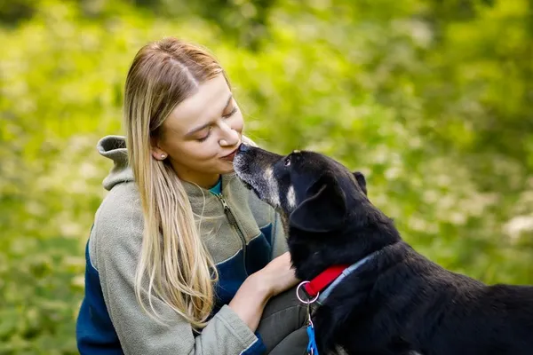 Pies do adopcji, Elbląg, 21 maja 2024 (2/5)