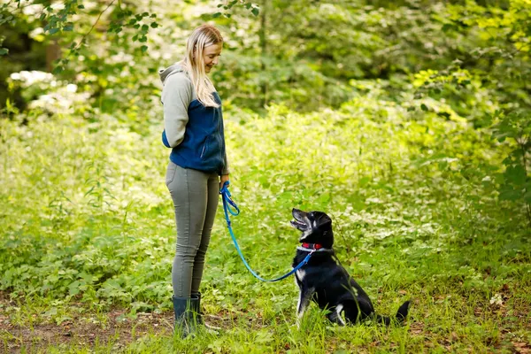 Pies do adopcji, Elbląg, 21 maja 2024 (3/5)