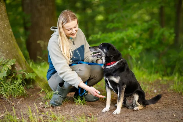 Pies do adopcji, Elbląg, 21 maja 2024 (4/5)