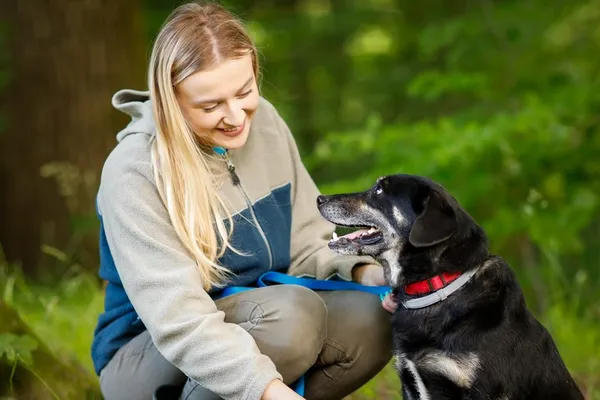 Pies do adopcji, Elbląg, 21 maja 2024 (5/5)