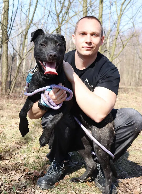 Znaleziono psa, Łódź, 9 lutego 2025 (4/5)