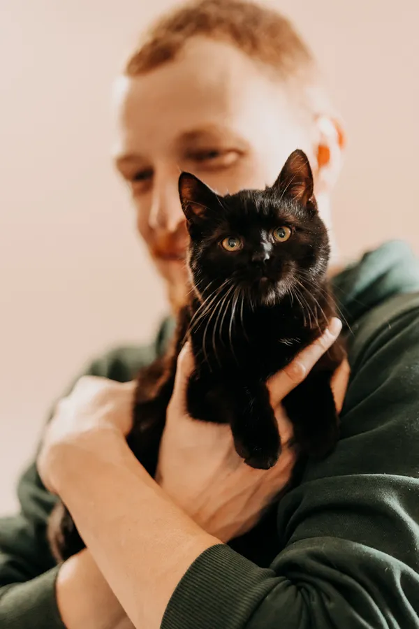 Kot do adopcji, Czartki, 10 lutego 2025 (3/5)