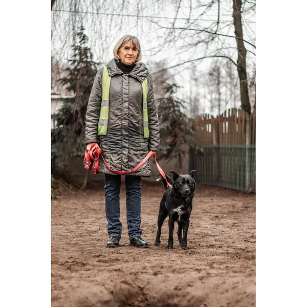 Znaleziono psa, Białystok, 25 stycznia 2025 (4/5)