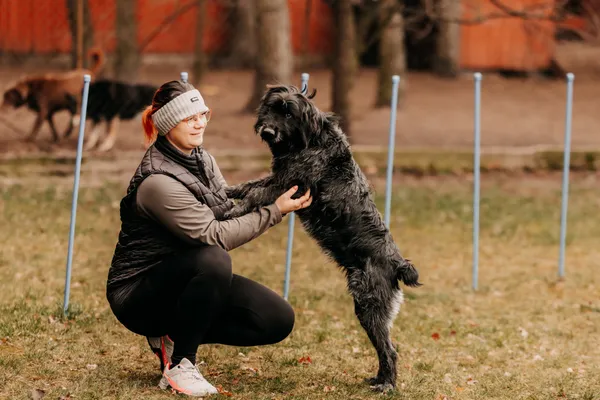 Pies do adopcji, Czartki, 14 lutego 2025 (2/5)