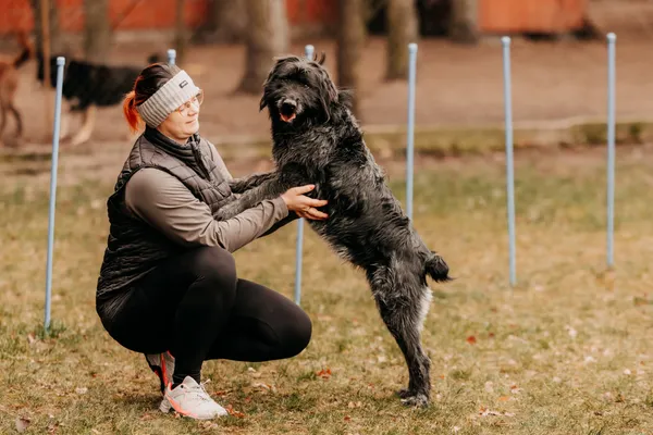 Pies do adopcji, Czartki, 14 lutego 2025 (3/5)