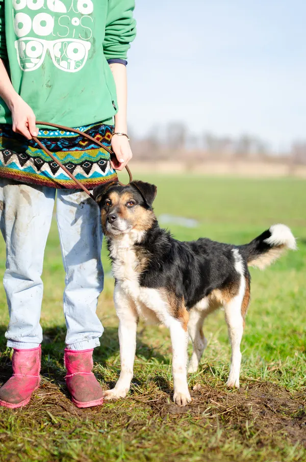 Oddam psa, Siła, 15 lutego 2025 (3/5)