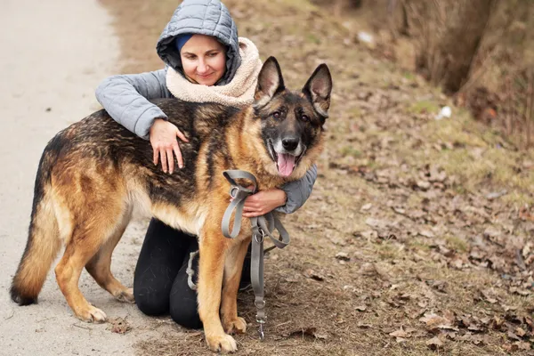 Pies do adopcji, Nowodwór, 18 lutego 2025 (1/5)