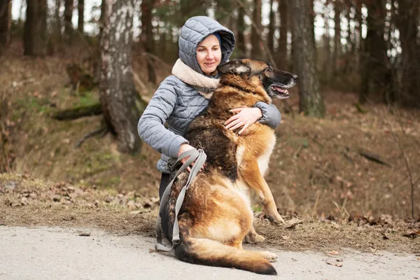 Pies do adopcji, Nowodwór, 18 lutego 2025 (3/5)