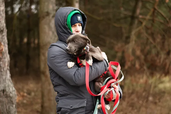 Pies do adopcji, Nowodwór, 18 lutego 2025 (1/5)