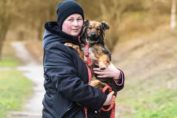 Pies do adopcji, Nowodwór, 18 lutego 2025 (4/5)