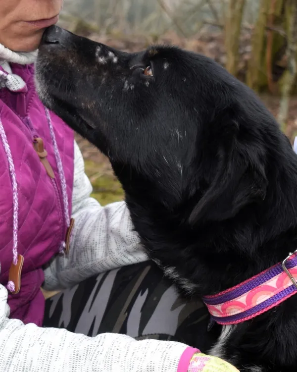 Znaleziono psa, Pieckowo, 21 lutego 2025 (3/5)