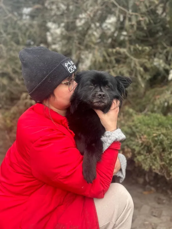 Pies do adopcji, Radom, 26 lutego 2025 (4/5)