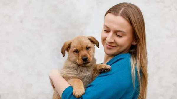 Pies do adopcji, Elbląg, 26 lutego 2025 (1/5)