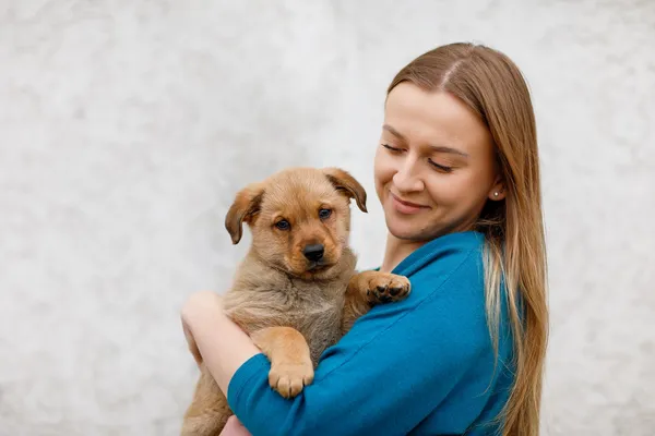 Pies do adopcji, Elbląg, 26 lutego 2025 (5/5)