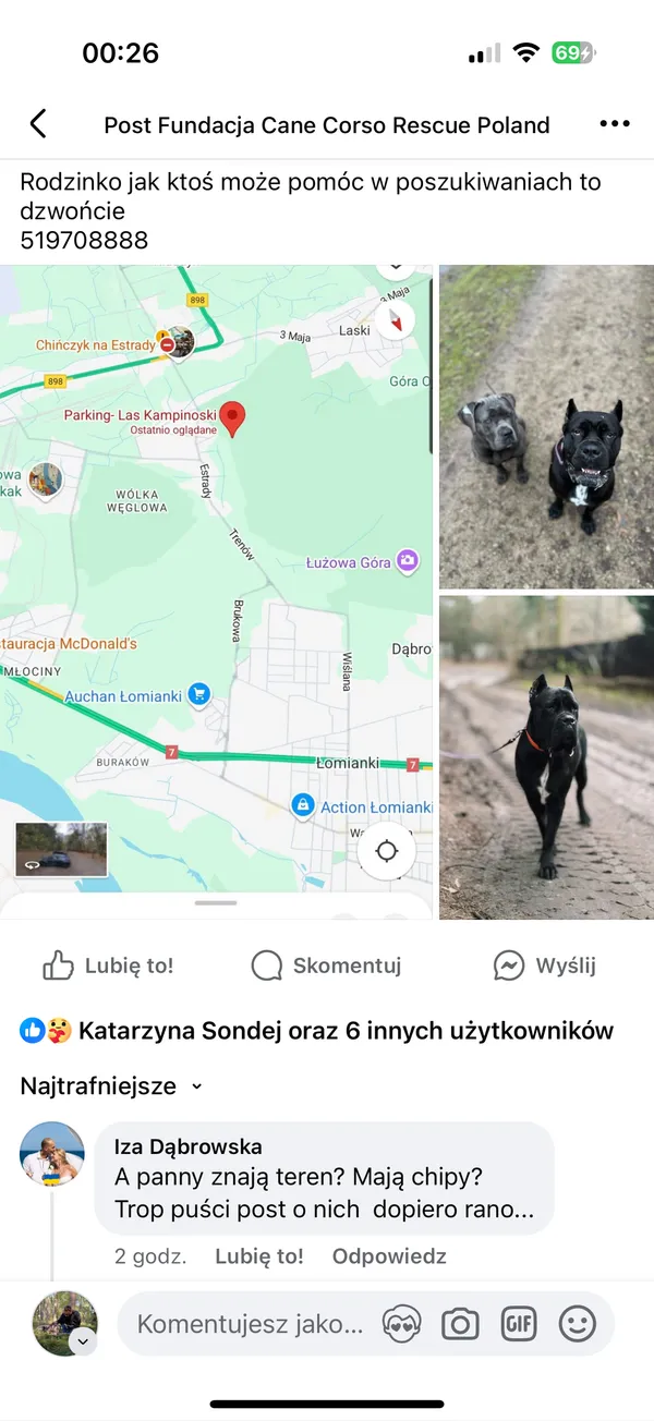 Zaginął pies, Laski, Wólka Węglowa, 28 lutego 2025 (1/3)