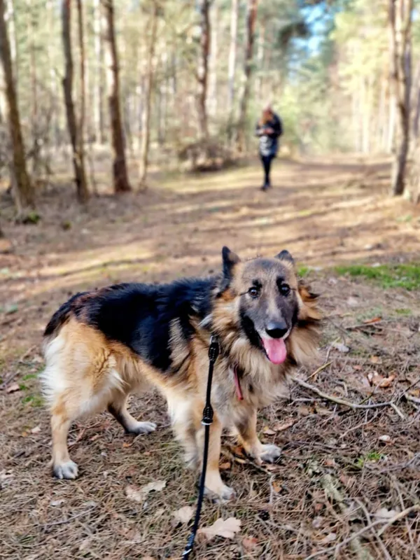 Oddam psa, Warszawa, Fort Bema, 28 lutego 2025 (1/5)