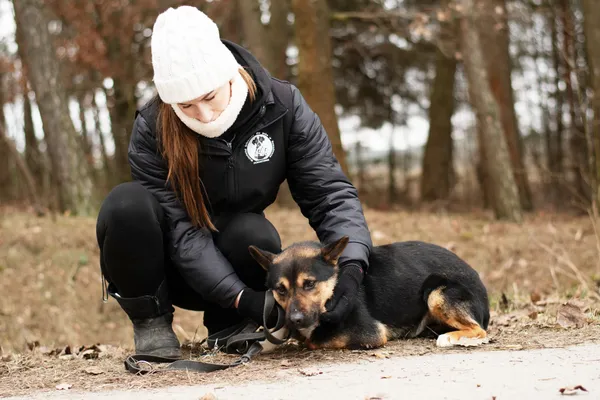 Pies do adopcji, Nowodwór, 28 lutego 2025 (1/5)