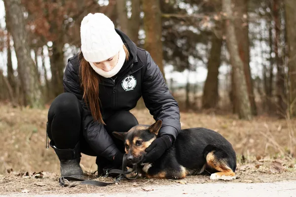 Pies do adopcji, Nowodwór, 28 lutego 2025 (3/5)