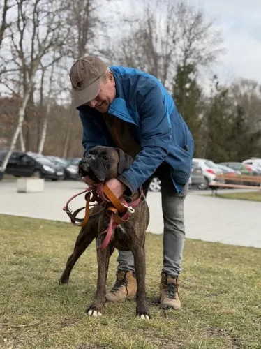 Pies do adopcji, Kraków, 16 lutego 2025 (4/5)