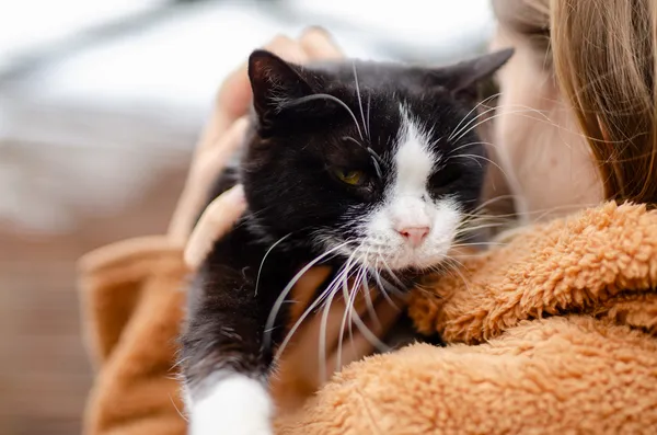 Oddam kota, Gdańsk, Wrzeszcz Górny, 3 marca 2025 (3/3)