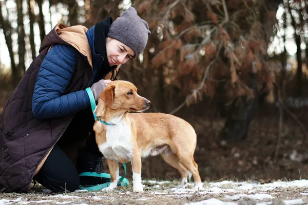 Pies do adopcji, Nowodwór, 3 marca 2025 (2/5)