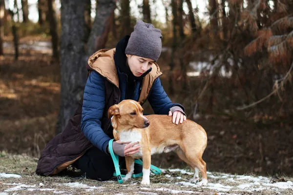 Pies do adopcji, Nowodwór, 3 marca 2025 (5/5)