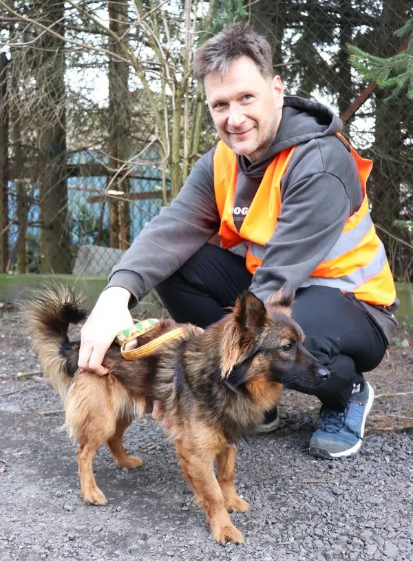 Znaleziono psa, Łódź, 4 marca 2025 (5/5)