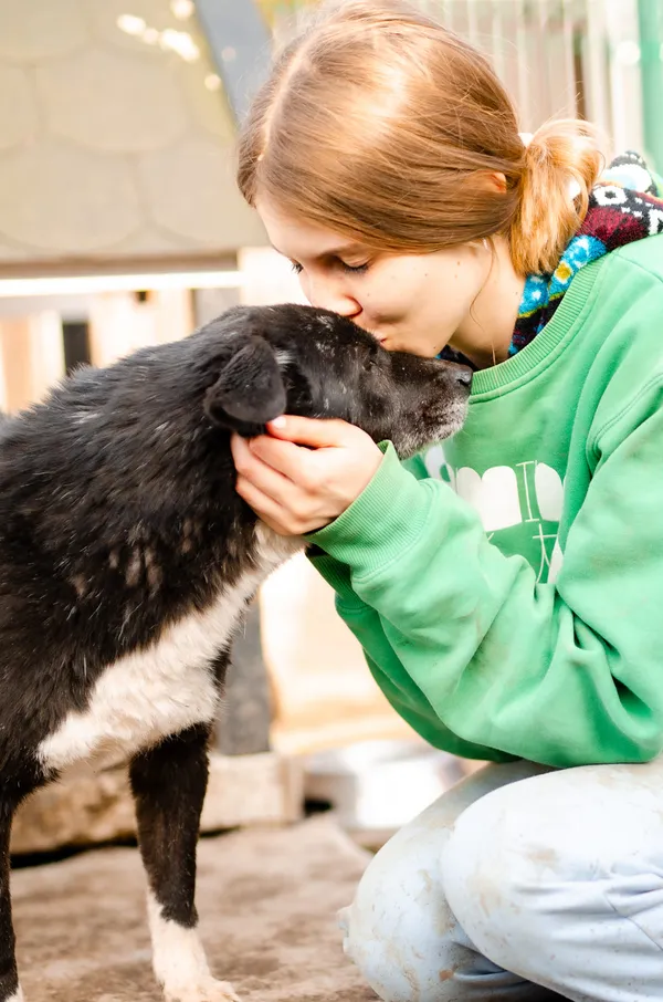 Oddam psa, Warszawa, Boernerowo, 11 marca 2025 (4/5)