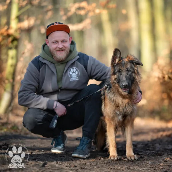 Pies do adopcji, Gdynia, 11 marca 2025 (4/4)