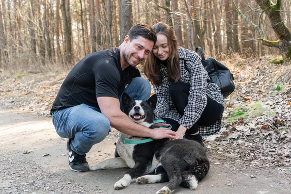 Pies do adopcji, Nowodwór, 11 marca 2025 (4/5)