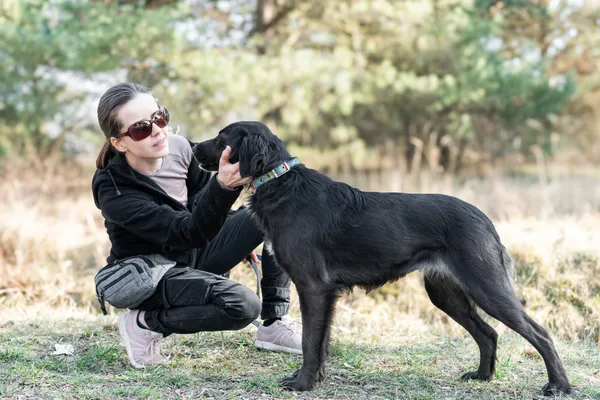 Pies do adopcji, Nowodwór, 11 marca 2025 (5/5)