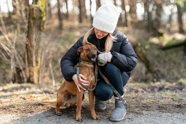 Pies do adopcji, Nowodwór, 11 marca 2025 (3/5)