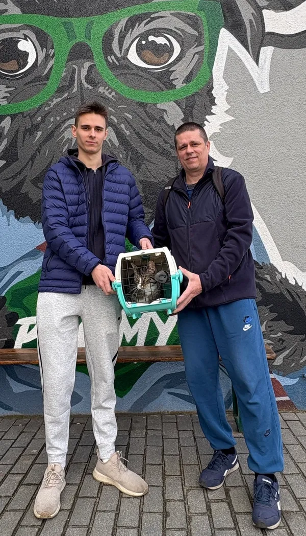 Kot do adopcji, Gdańsk, 13 marca 2025