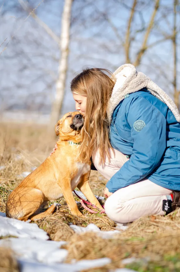 Oddam psa, Gdańsk, Strzyża, 14 marca 2025 (2/4)