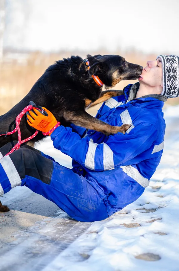 Oddam psa, Gdańsk, Przymorze Wielkie, 14 marca 2025 (1/4)