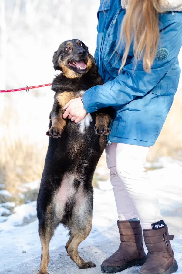 Oddam psa, Gdańsk, Przymorze Wielkie, 14 marca 2025 (3/4)