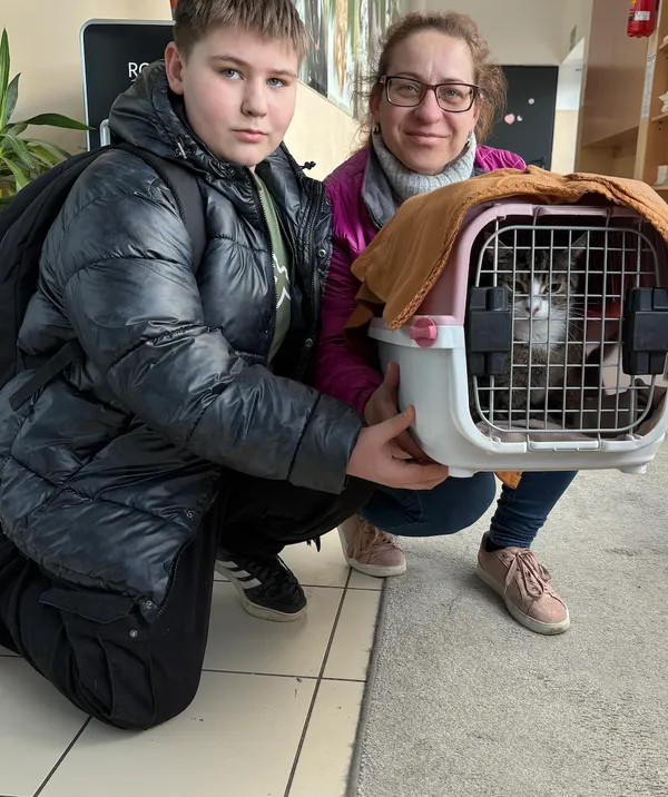 Kot do adopcji, Gdańsk, 14 marca 2025