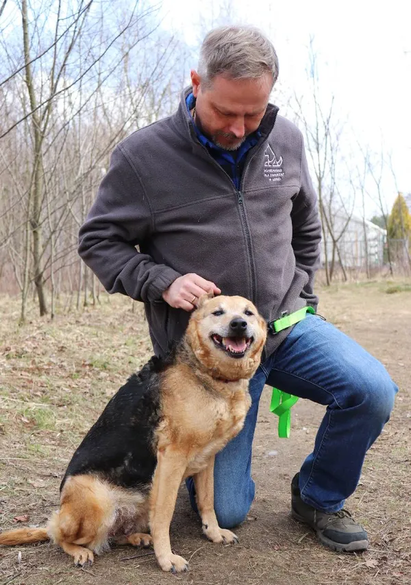 Znaleziono psa, Łódź, 14 marca 2025 (3/5)