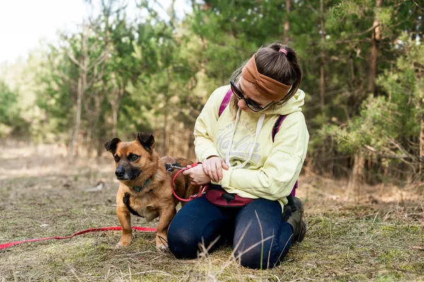 Pies do adopcji, Nowodwór, 16 marca 2025 (3/5)