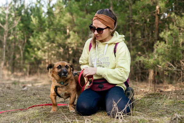 Pies do adopcji, Nowodwór, 16 marca 2025 (5/5)