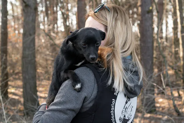 Pies do adopcji, Nowodwór, 16 marca 2025 (2/5)