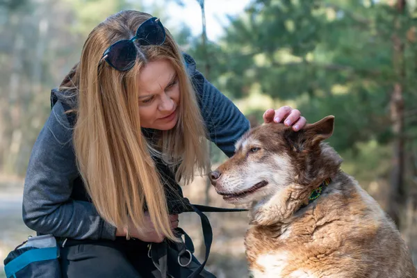 Pies do adopcji, Nowodwór, 16 marca 2025 (4/5)