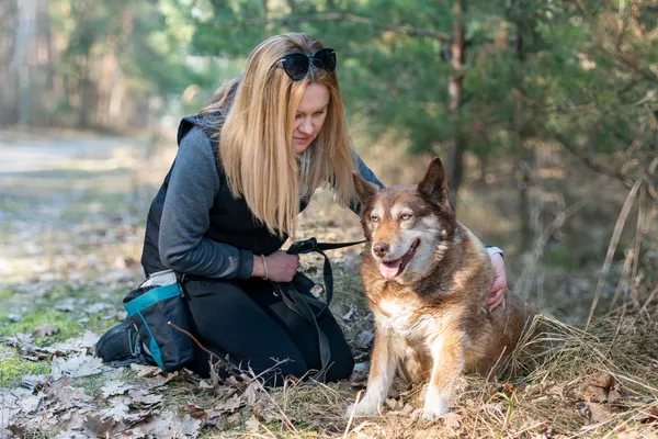 Pies do adopcji, Nowodwór, 16 marca 2025 (5/5)