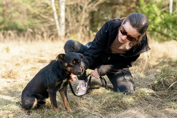 Pies do adopcji, Nowodwór, 17 marca 2025 (5/5)