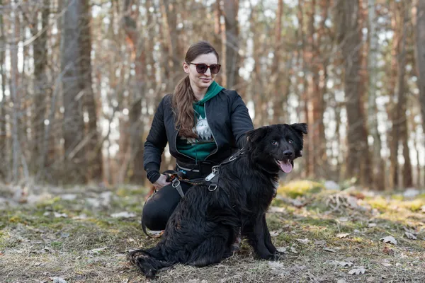 Pies do adopcji, Nowodwór, 17 marca 2025 (3/5)