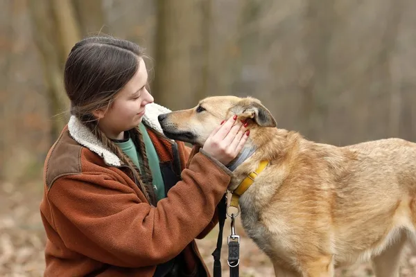 Pies do adopcji, Elbląg, 18 marca 2025 (4/5)