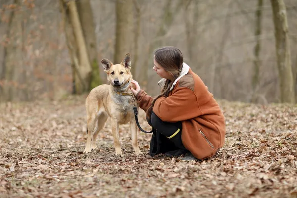 Pies do adopcji, Elbląg, 18 marca 2025 (5/5)