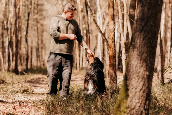 Pies do adopcji, Czartki, 10 marca 2025 (5/5)