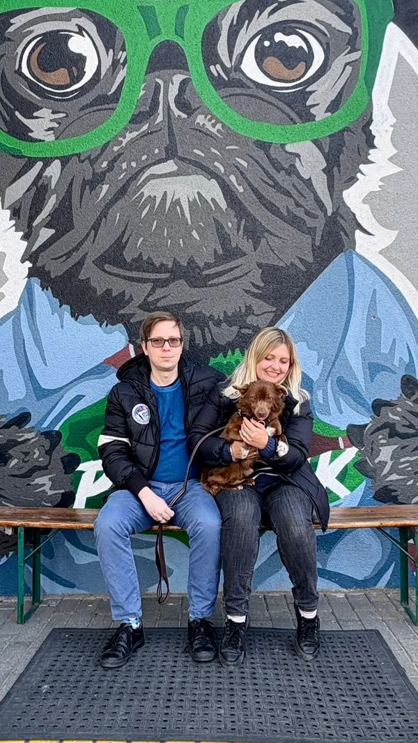 Pies do adopcji, Gdańsk, 17 marca 2025