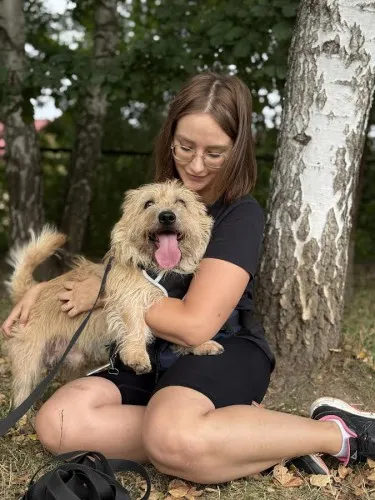 Pies do adopcji, Kraków, 4 marca 2025 (1/5)